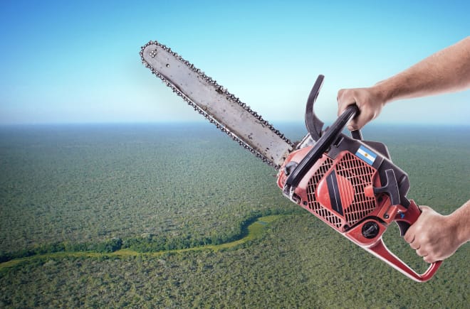 Fotomontagem: Fotografia aérea da Floresta do Chaco com duas mãos segurando uma motosserra