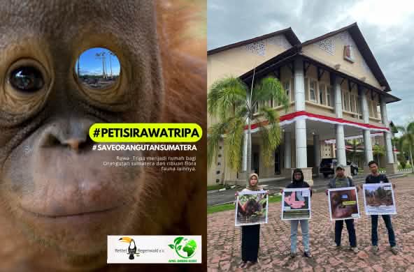 Colagem Petição Tripa - Entrega + Pôster