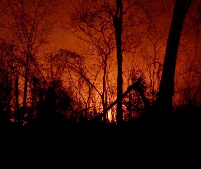 Céu noturno avermelhado por causa das chamas destacando os restos carbonizados das árvores