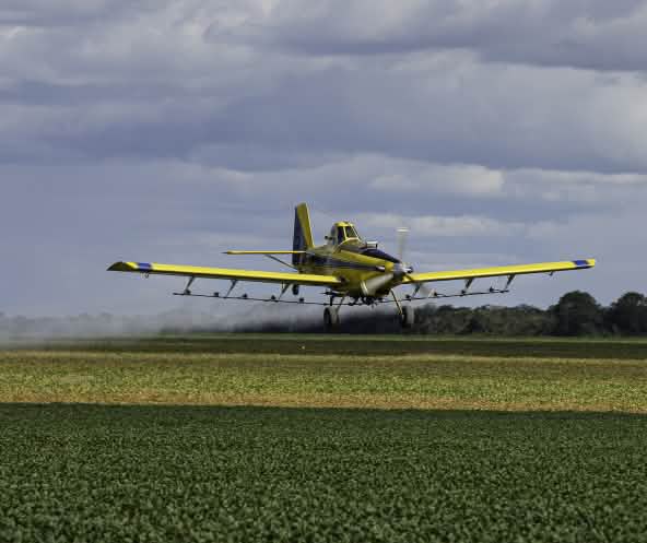 Um avião a hélice pulveriza pesticidas do ar sobre um campo de soja