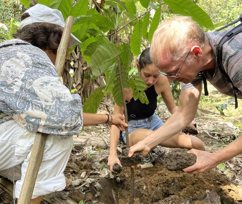 Durante uma visita do Salve a Floresta, plantamos árvores juntos Três pessoas plantam um cacaueiro na floresta tropical
