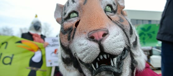 Máscara de tigre em manifestação de "Salve a Floresta"