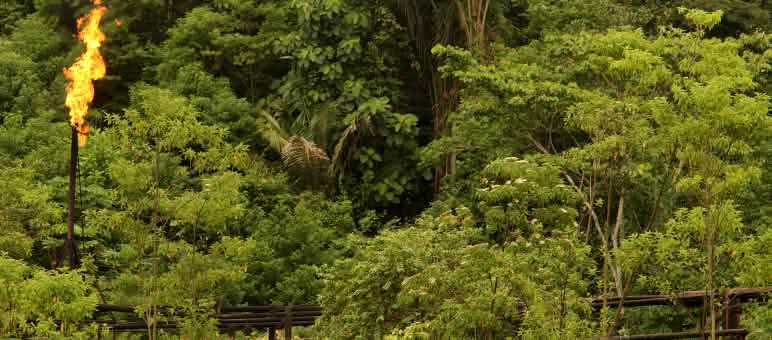 Imagem simbólica: Também na Amazônia está sendo explorado petróleo e queimado gás natural Chama de gás na Amazônia equatoriana