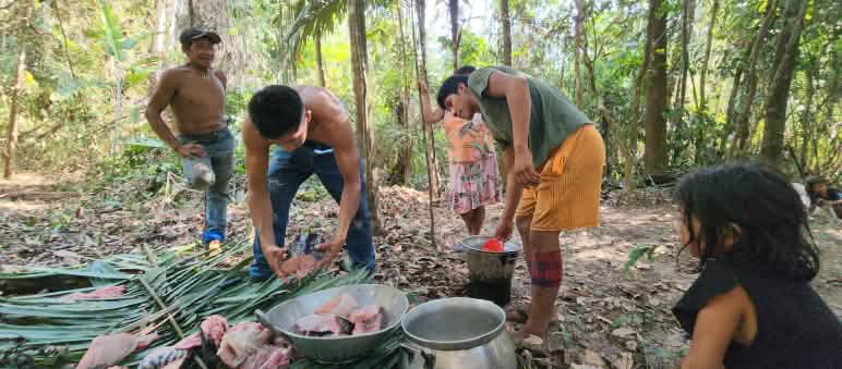 Professores e alunos na floresta, na tentativa de construção de uma educação escolar que se alie às atividades tradicionais do povo Awa Guajá Cinco pessoas estão no meio da floresta preparando alimentos em folhas e panelas colocadas no solo