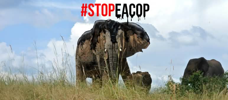Fotomontagem: O petróleo é um grande perigo para os elefantes - StopEACOP Fotomontagem: O petróleo é um grande perigo para os elefantes - StopEACOP
