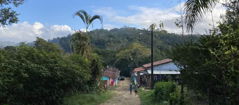As pessoas do Campamento Terra Vista reflorestaram uma antiga fazenda de cana-de-açúcar por meio de agrofloresta Casas em uma pista na floresta tropical