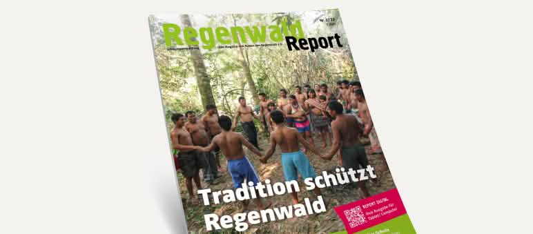 Vista 3D da capa da nossa Revista “Regenwald Report 2/22” Vista 3D da capa da nossa Revista “Regenwald Report 2/22”