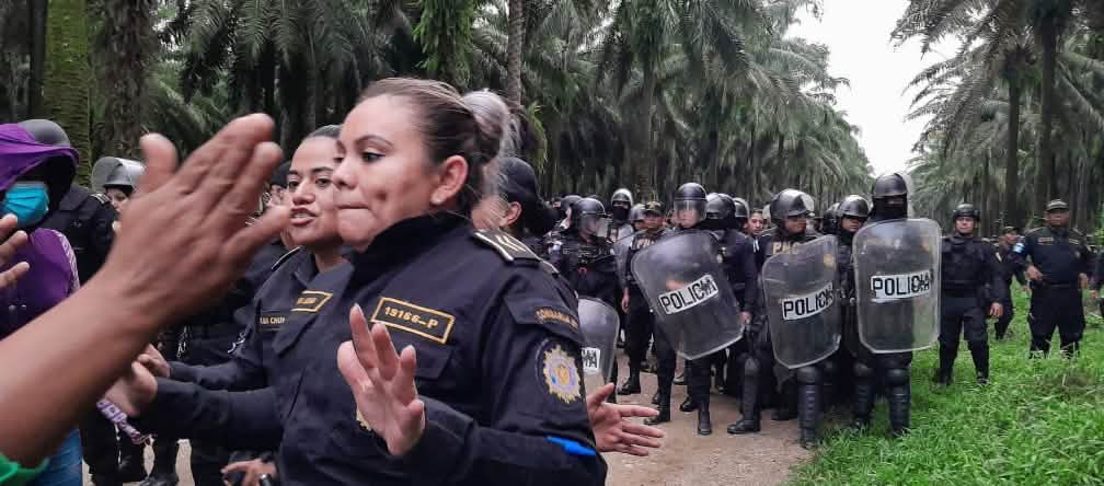 Violência contra o povo indígena Maia: Policia executando razias e despejos Um grande grupo de policiais de capacetes protetores e escudos avançando sobre uma pista situada em uma monocultura de óleo de palma