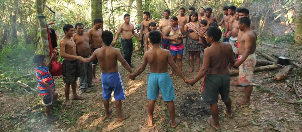Grupo de guardiões da floresta durante uma cerimônia Indígenas Ka'apor - crianças, mulheres e homens - dão-se as mãos e fazem uma roda na floresta tropical