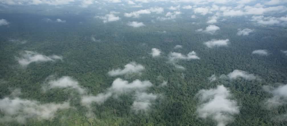 Oficialmente protegida – e mesmo assim, ameaçada: a Floresta Prey-Lang- no Camboja Fotografia aérea com nuvens sobre floresta tropical densa
