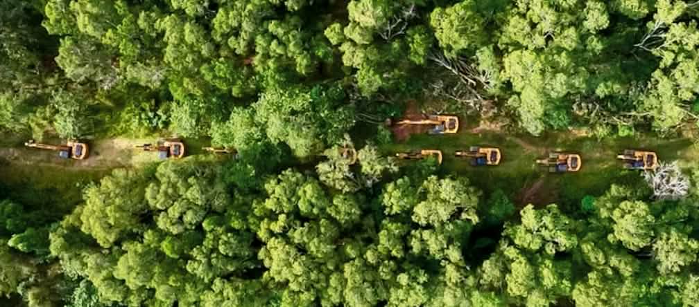 O Grupo Jhonlin está trazendo 2000 escavadeiras para Merauke Longa fileira de escavadeiras pela floresta tropical (foto tirada por drone)