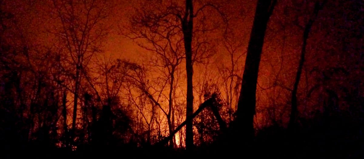 Céu noturno avermelhado por causa das chamas destacando os restos carbonizados das árvores