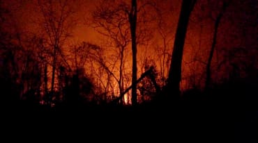 Céu noturno avermelhado por causa das chamas destacando os restos carbonizados das árvores