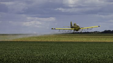 Pulverização aérea de agrotóxicos sobre campos de soja