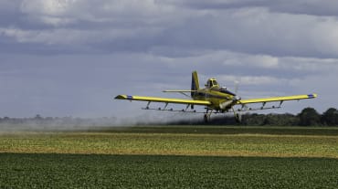 Um avião a hélice pulveriza pesticidas do ar sobre um campo de soja