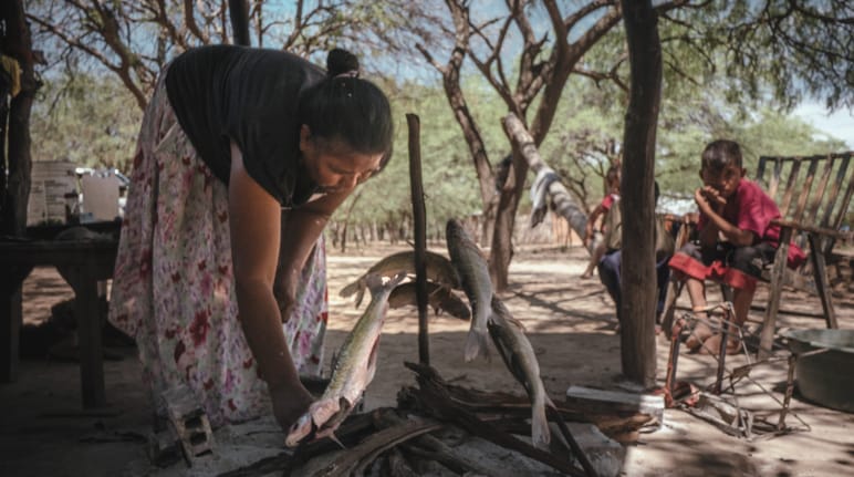 Mulher indígena prepara um grelhado de peixes no chão, entre copas de árvores, enquanto uma criança a observa