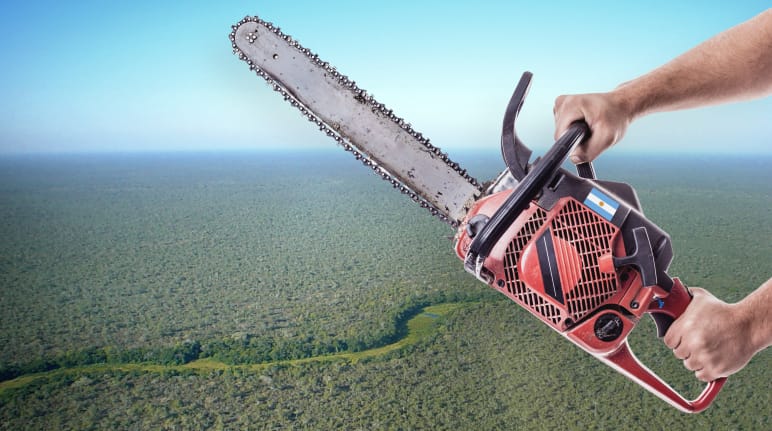 Fotomontagem: Fotografia aérea da Floresta do Chaco com duas mãos segurando uma motosserra