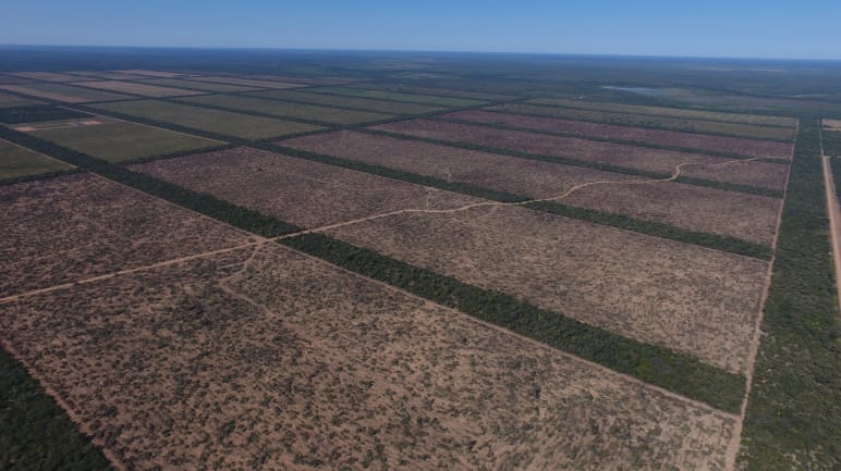 Fotografia aérea de gigantes áreas desmatadas, em forma de retângulos, no Paraguai