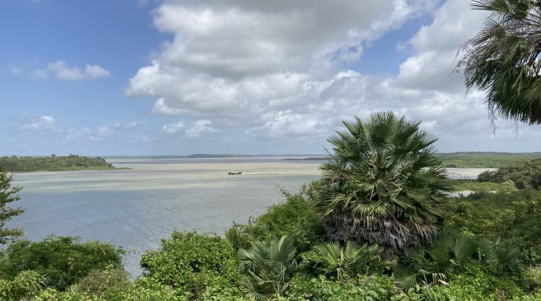 Vista de uma baía com vegetação ao fundo e nuvens brancas no céu