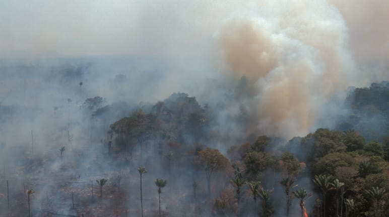 Vista aérea de uma floresta tropical em chamas