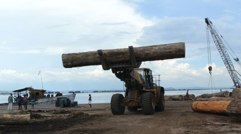 Carregamento de madeira no porto de Kinshasa