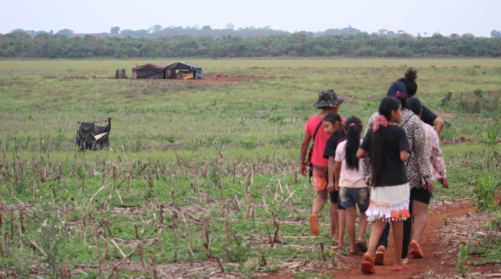 Um pequeno grupo de indígenas marcha por uma antiga zona agrícola