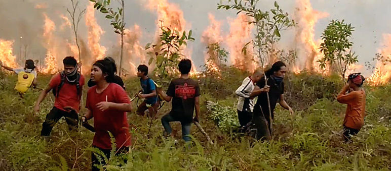 No Parque Nacional Tanjung Puting na Indonésia, ambientalistas tentam apagar o fogo. No Parque Nacional Tanjung Puting, ambientalistas apagam o fogo com ferramentas simples.